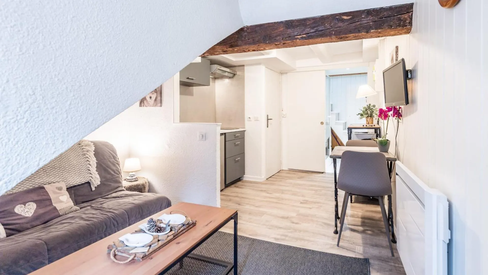 T2 Paquier Apartment Annecy