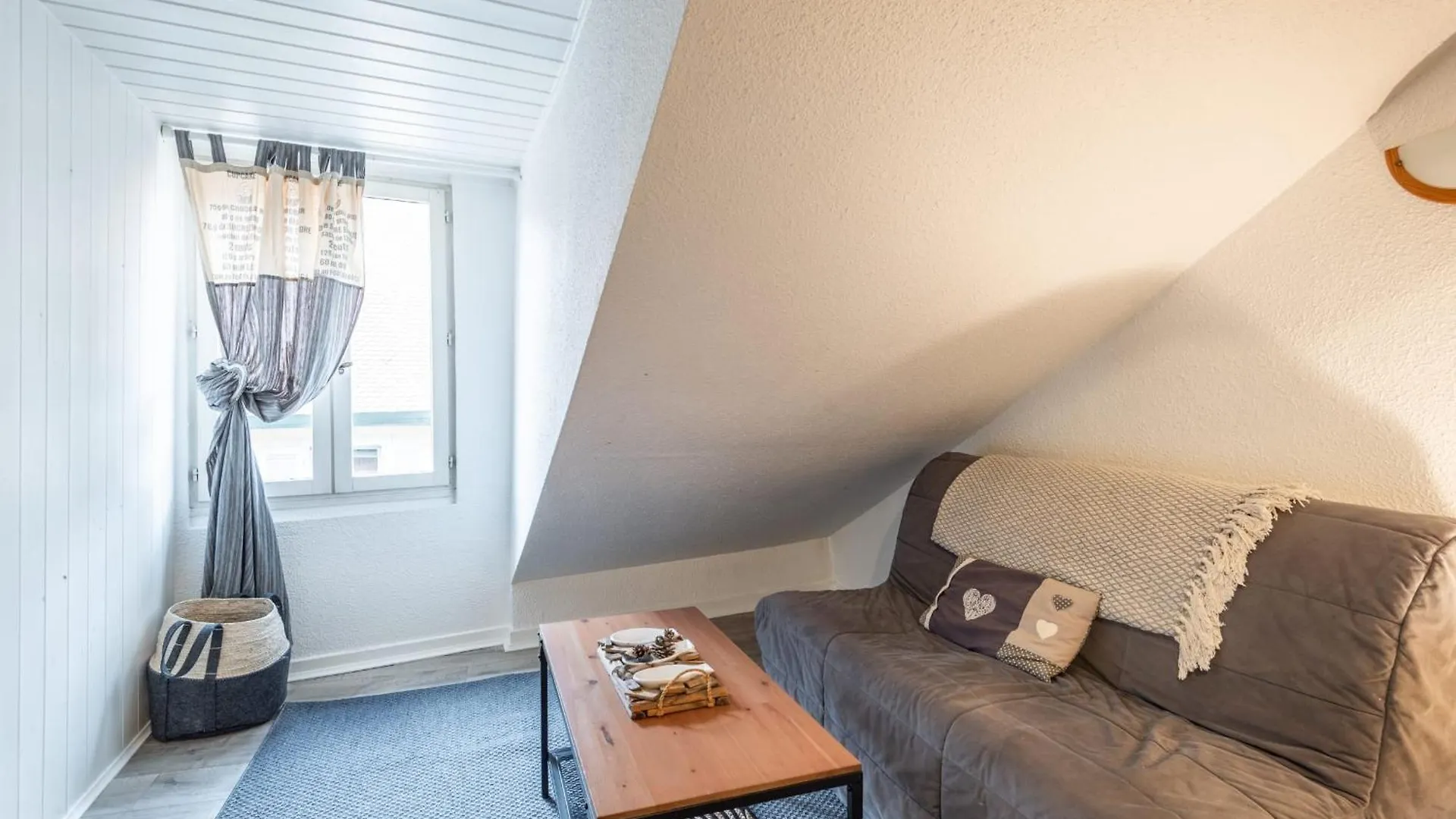 T2 Paquier Apartment Annecy
