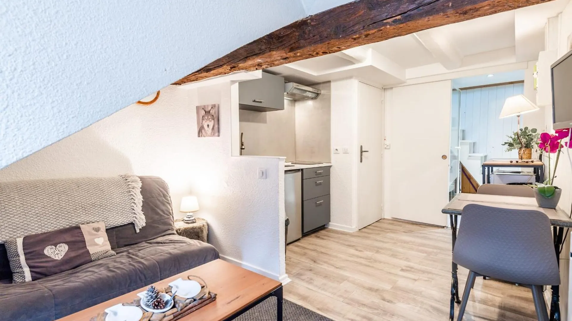 T2 Paquier Apartment Annecy France