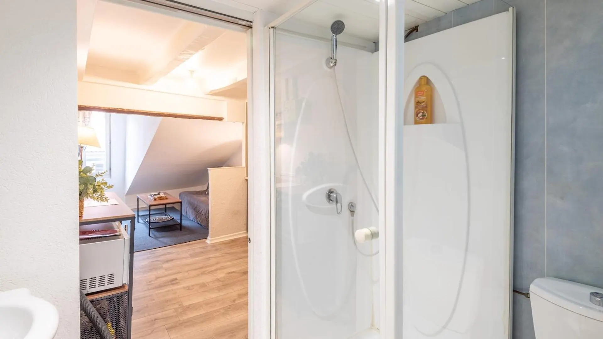T2 Paquier Apartment Annecy