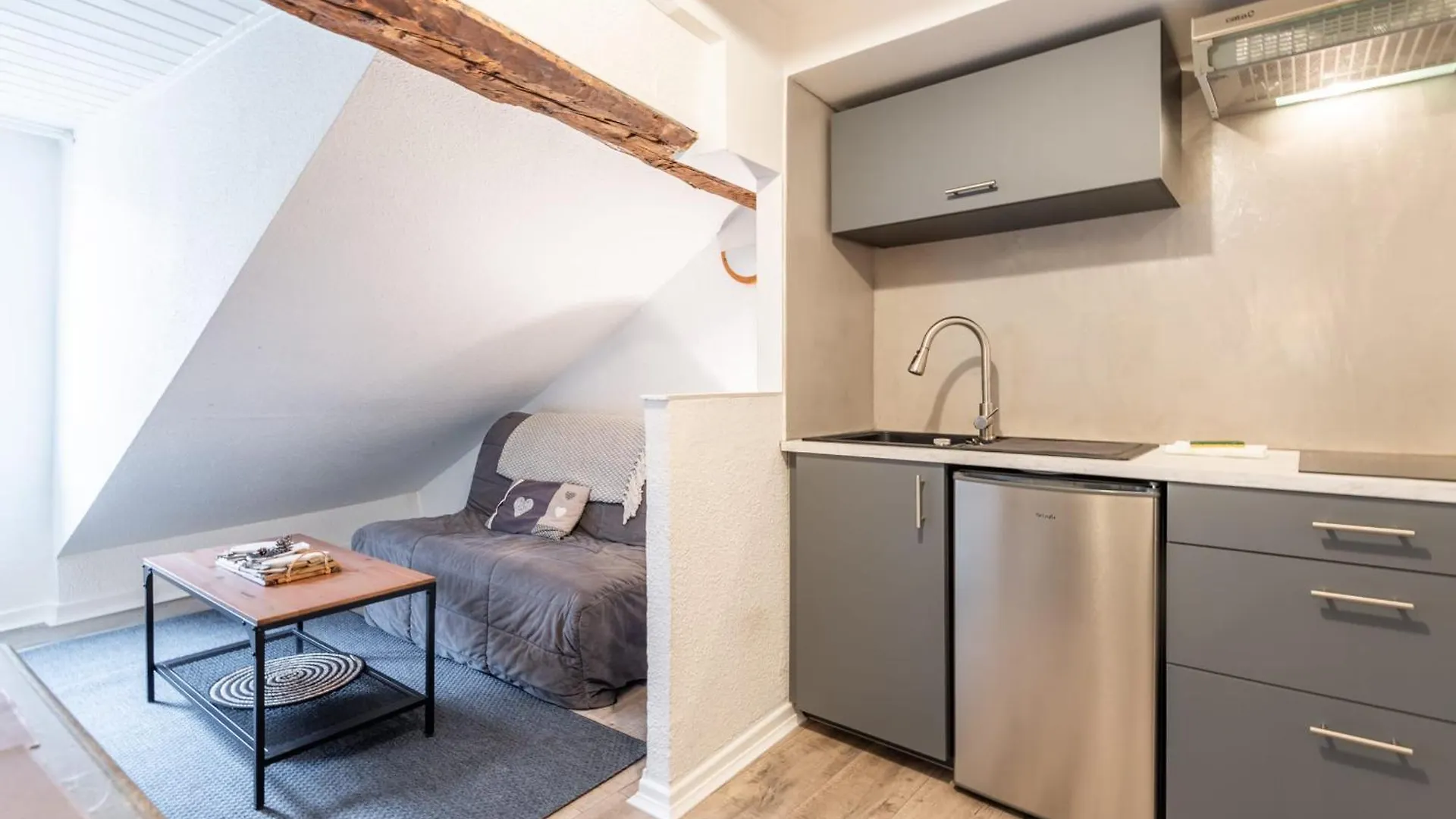 T2 Paquier Apartment Annecy